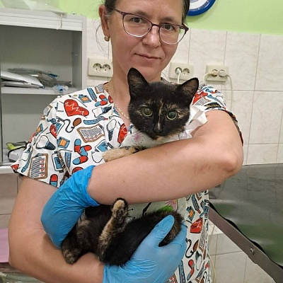 Логвинова Дарья Владимировна 