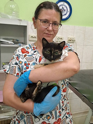 Логвинова Дарья Владимировна 