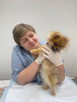 Платошина Наталья   Валентиновна  